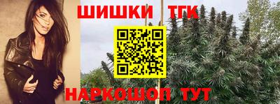 твердый Камышлов